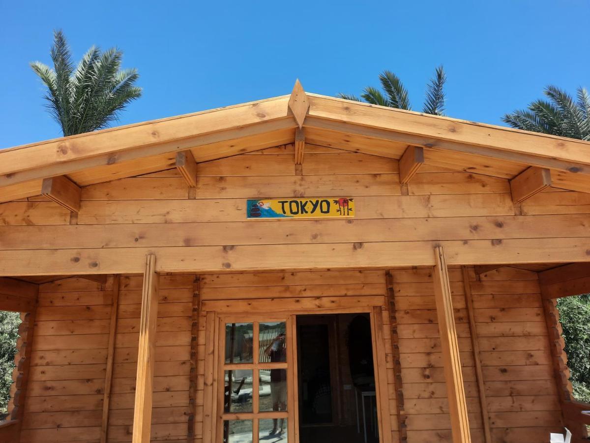 Cyprus Glamping Park Otel Agios Theodoros Dış mekan fotoğraf
