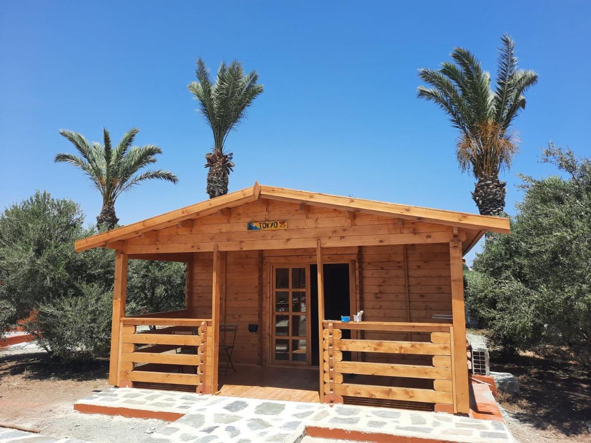 Cyprus Glamping Park Otel Agios Theodoros Dış mekan fotoğraf