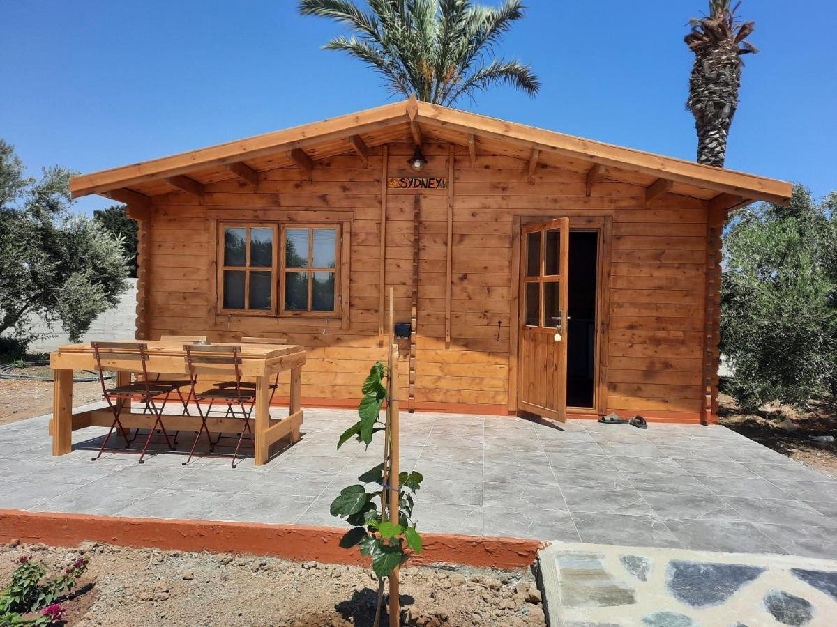 Cyprus Glamping Park Otel Agios Theodoros Dış mekan fotoğraf